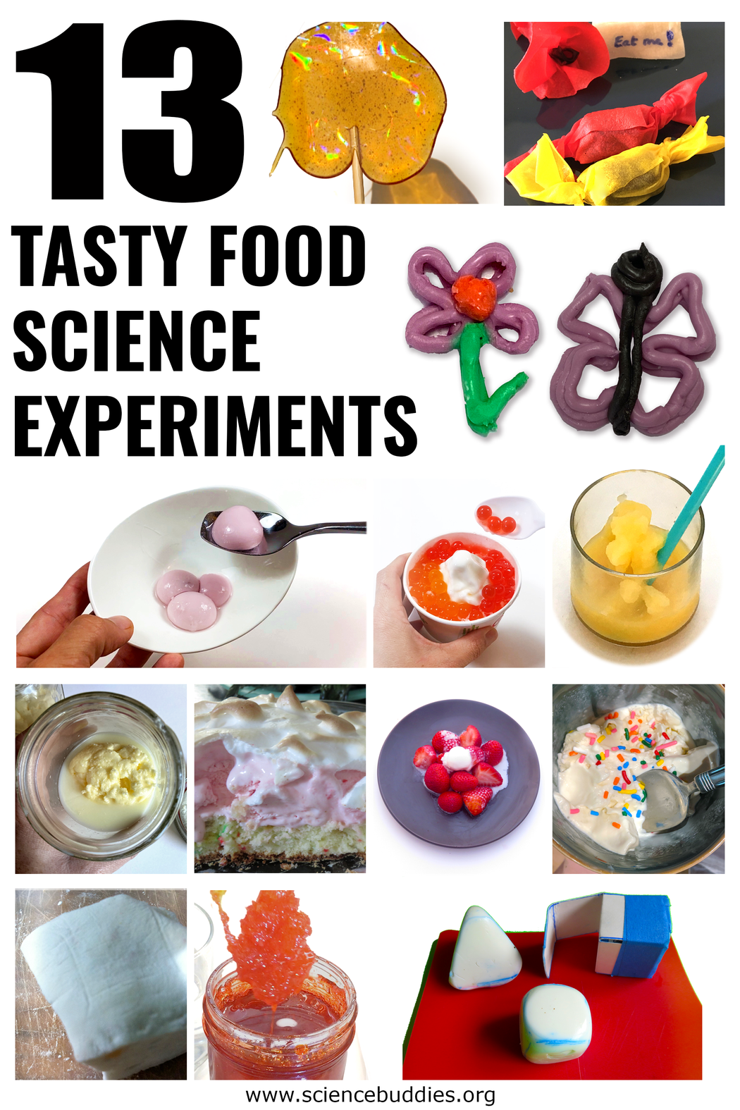 food lab experiments