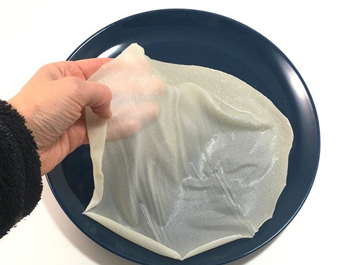 Making and Testing Edible Rice Paper