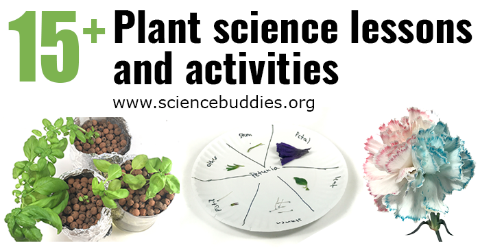 Biology of Plants: Plant Parts